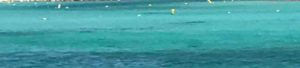 Snorkelen Aruba Baby Beach 300x68 - Snorkelen-Aruba-Baby-Beach