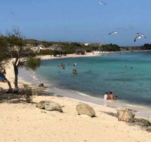 Vakantiewoning Aruba Baby Beach 300x282 - Vakantiewoning-Aruba-Baby-Beach