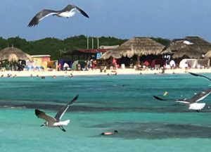Vakantiewoning Aruba Baby Beach3 300x216 - Vakantiewoning-Aruba-Baby-Beach3