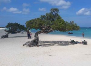 Vakantiewoning Aruba Eagle Beach 300x216 - Vakantiewoning-Aruba-Eagle-Beach