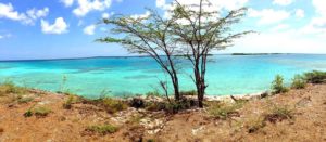 Vakantiewoning Aruba strand 300x131 - Vakantiewoning-Aruba-strand