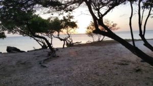 Vakantiewoning Aruba Eagle Beach zonsondergang 300x169 - Zonsondergang Eagle Beach