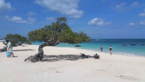 Vakantiewoning Aruba omgeving 300x169 - Noordkust