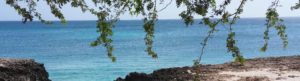 Vakantiewoning Aruba slider 300x81 - Vakantiewoning-Aruba-slider