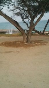 Vakantiewoning Aruba Malmok Beach2 169x300 - Malmok Beach