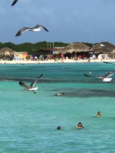 Vakantiewoning Aruba baby beach 225x300 - Baby Beach