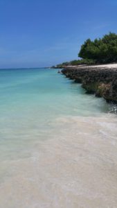 Vakantiewoning Eagle beach st 2 169x300 - Eagle Beach