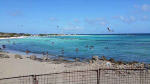 Vakantiewoning Aruba Golfcourse Dive Resorts 300x169 - Vakantiewoning_Aruba_Golfcourse_Dive_Resorts