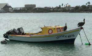 Vakantiewoning Aruba Boot 300x183 - Vakantiewoning-Aruba_Boot