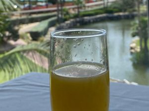 Vakantiewoning Aruba wine KL 300x225 - Vakantiewoning-Aruba-wine-KL